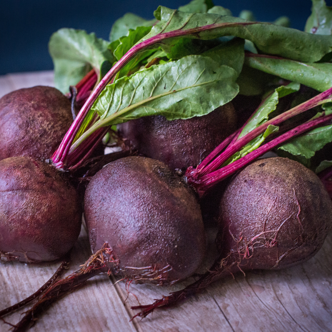 Merlin Beet – Pangea Seeds