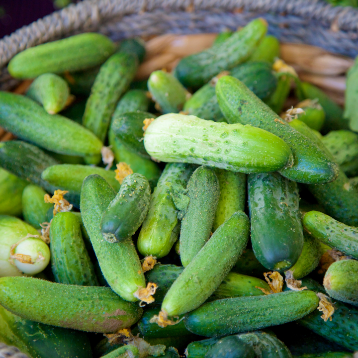 Homemade Pickles Cucumber