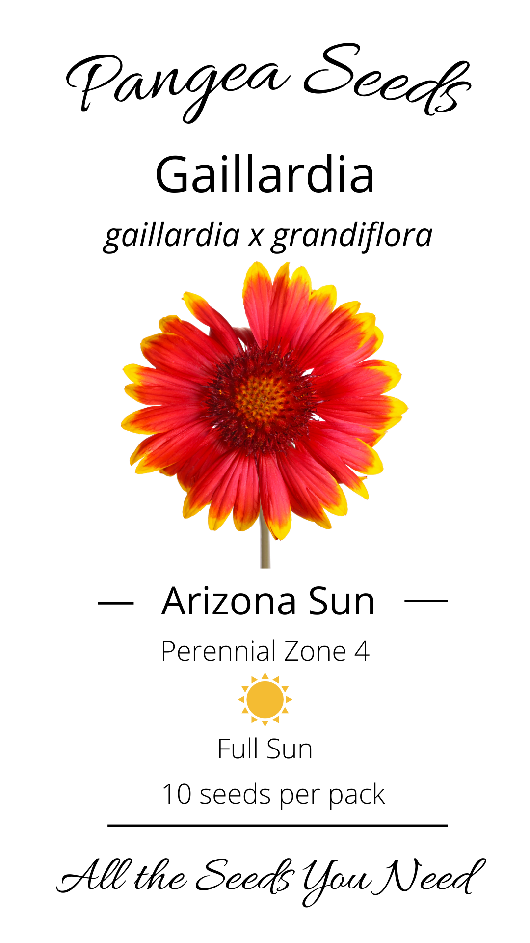 Arizona Sun Gaillardia - Main Image