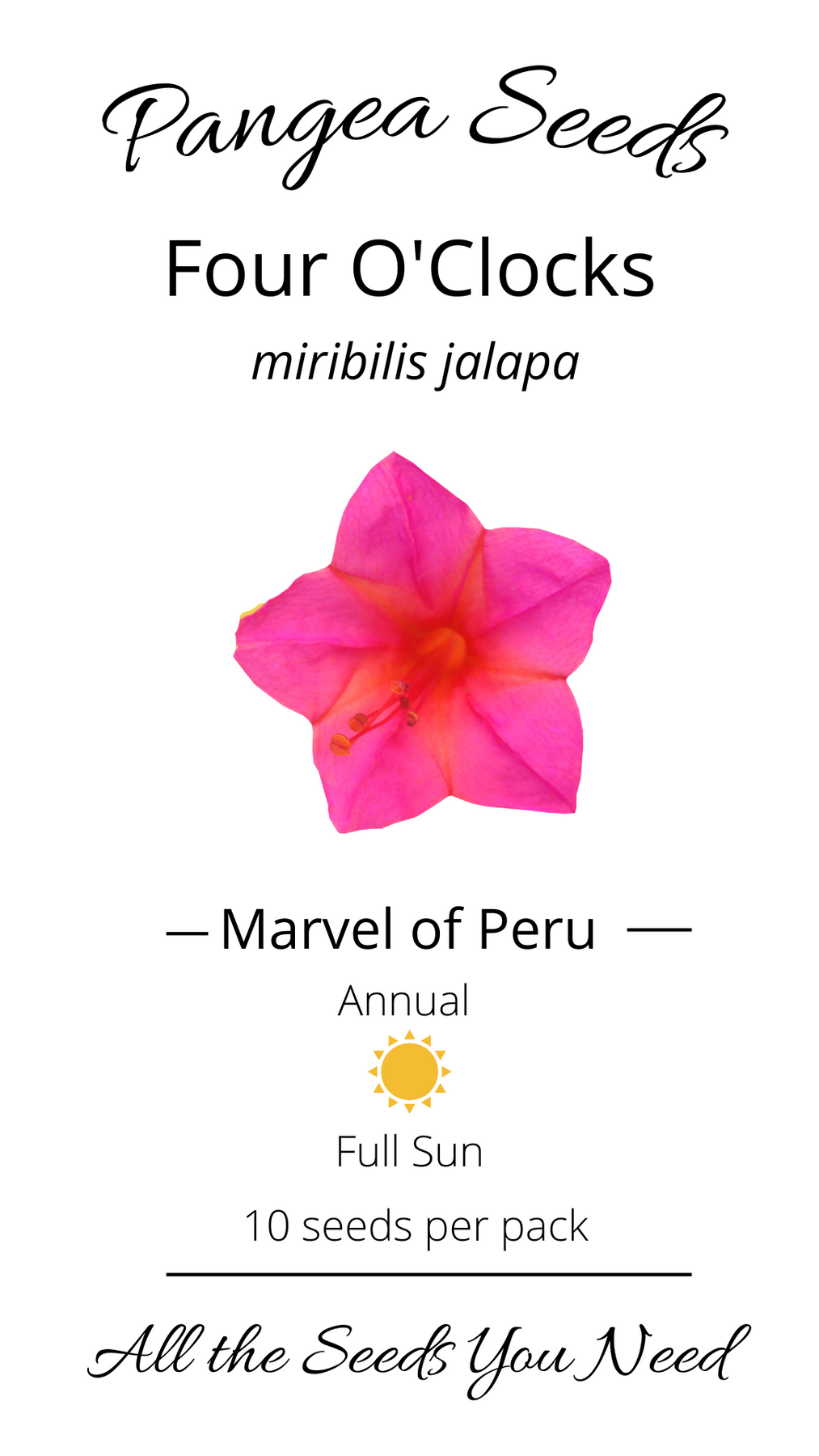 10 o'clock flower seeds Marvel of Peru Four O'Clocks Seeds – Pangea Seeds
