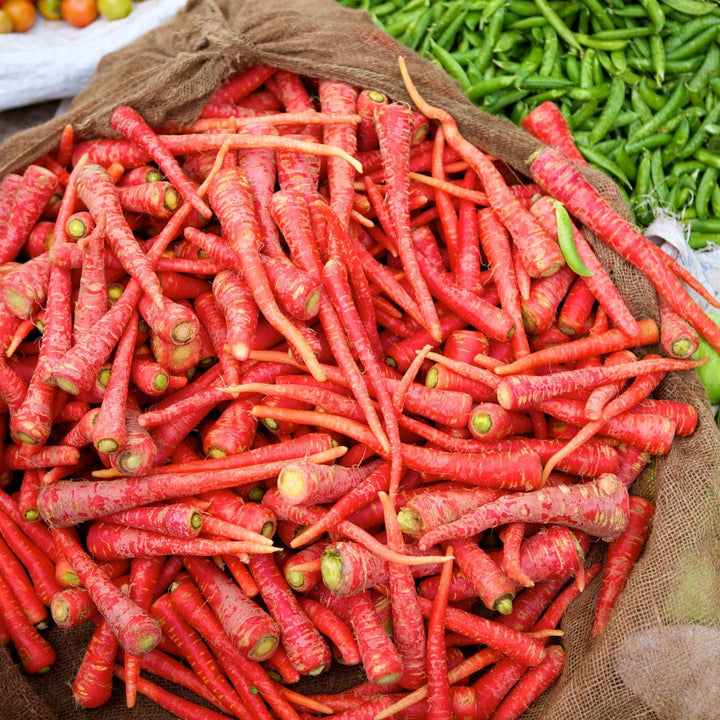 Red Hybrid Carrot